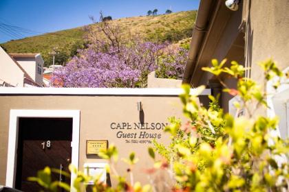 Cape Nelson Guest House - image 1