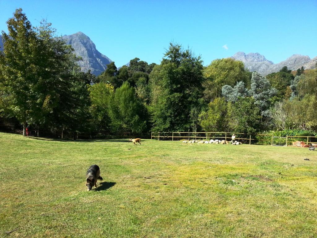 Glasshouse In The Winelands - main image