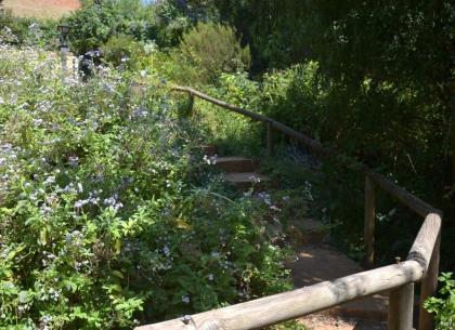 Glasshouse In The Winelands - image 18