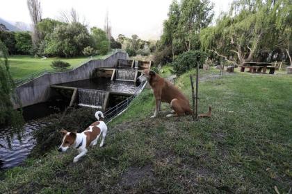 Waterland Lodge - image 8