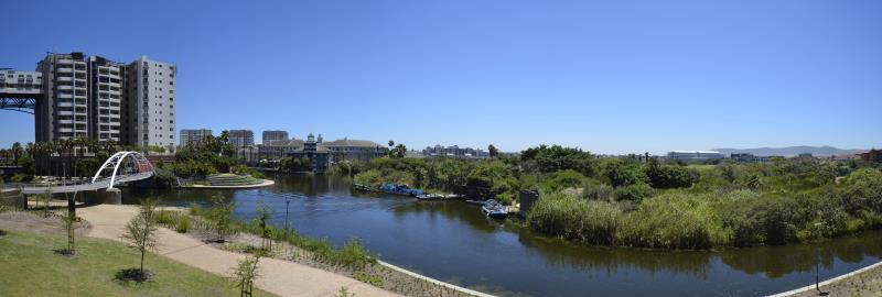 Century City Luxury Apartments - image 4