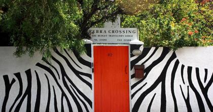 Zebra Crossing Backpacker - image 1