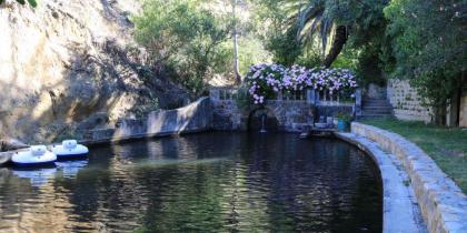 Camps Bay Forest Pods - image 2