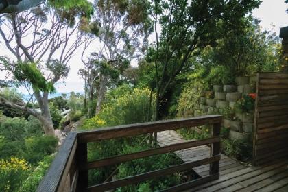 Camps Bay Forest Pods - image 8