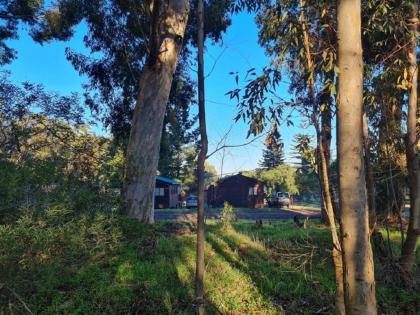 Hoogeland's Wood Cabins - image 8