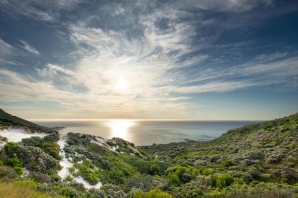 Vyn Guest House Hout Bay - image 2