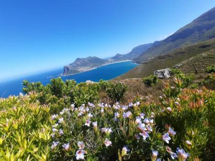 Vyn Guest House Hout Bay - image 5