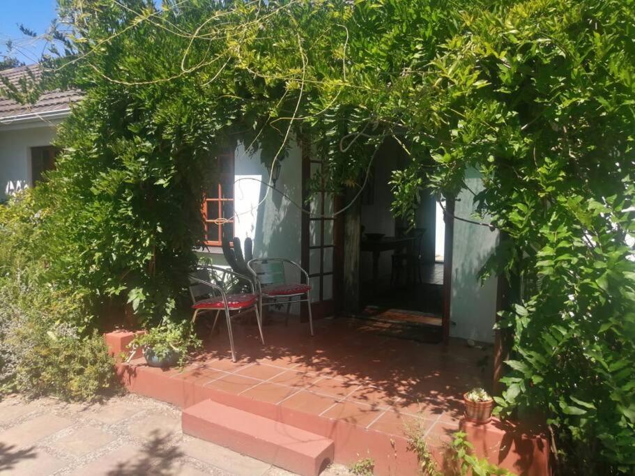 Botanical garden cottage on the foot of the Helderberg - main image