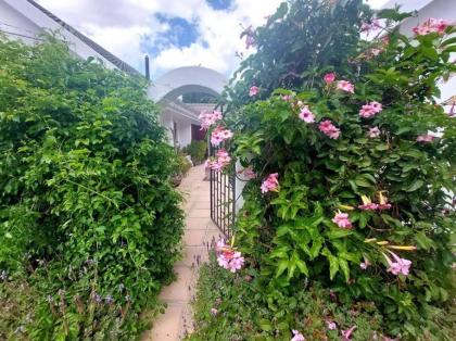 Botanical garden cottage on the foot of the Helderberg - image 13