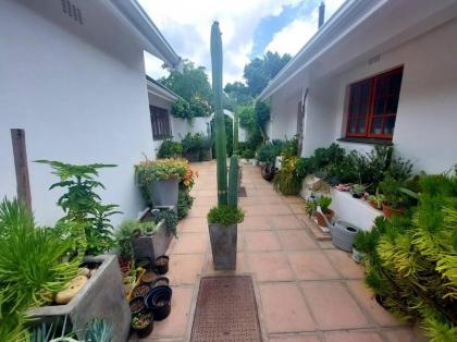 Botanical garden cottage on the foot of the Helderberg - image 16