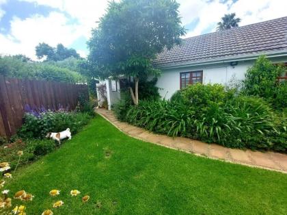 Botanical garden cottage on the foot of the Helderberg - image 3